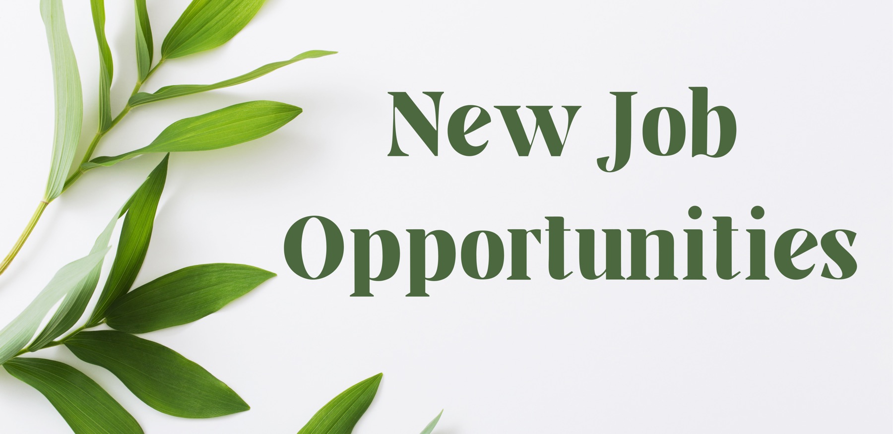 Home The Greenery Nursery