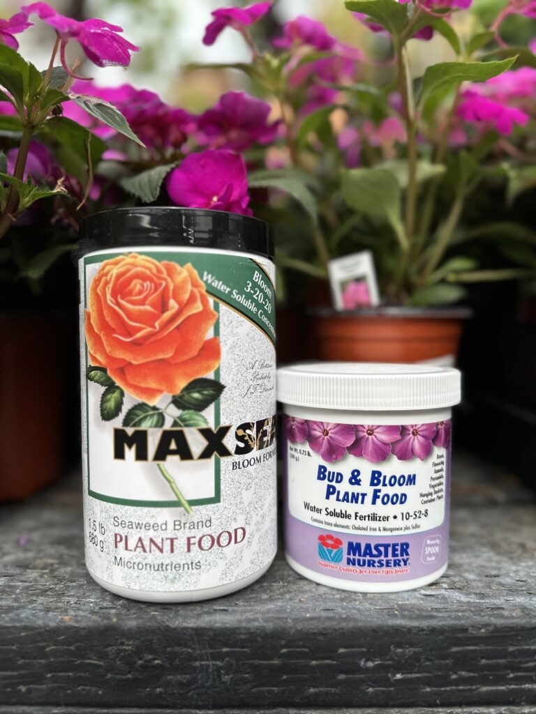 Maxsea Bloom & MNGC Bud & Bloom