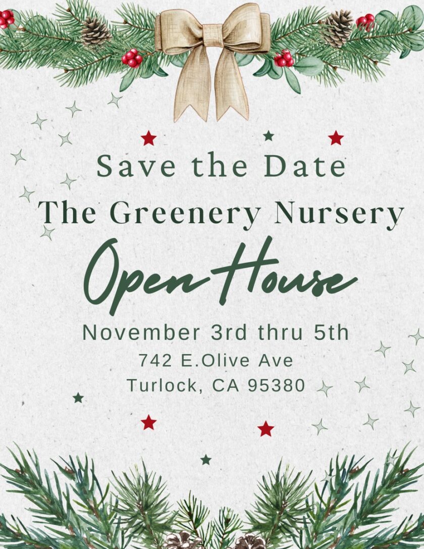 Events from November 3 – November 6, 2020 – The Greenery Nursery