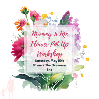 Mommy and Me Flower Pot Up Workshop