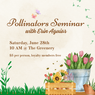 Pollinators Seminar with Erin Aguiar