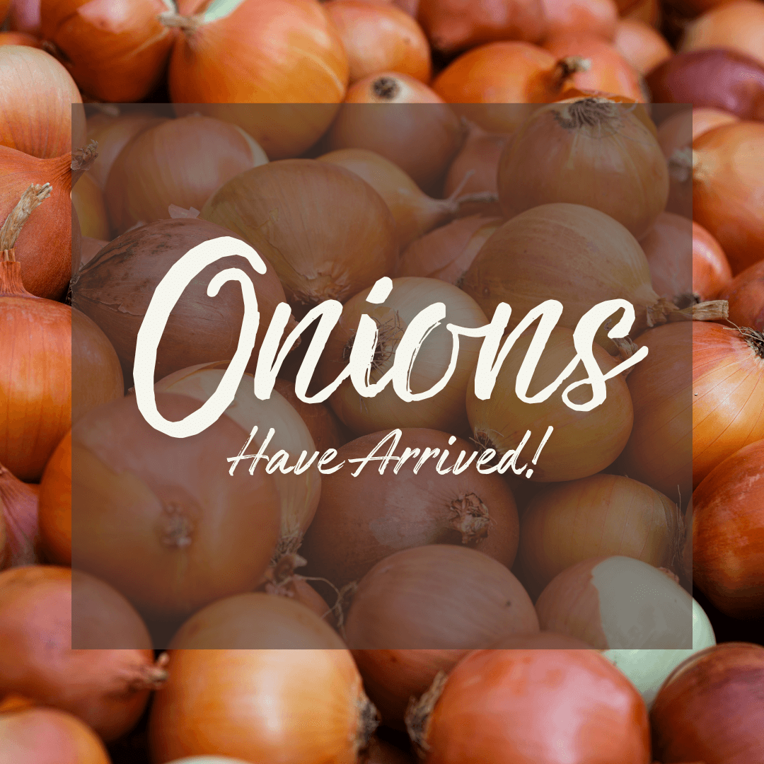 Onions_arrived
