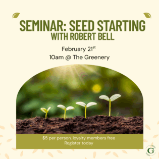 Seed Starting with Robert Bell
