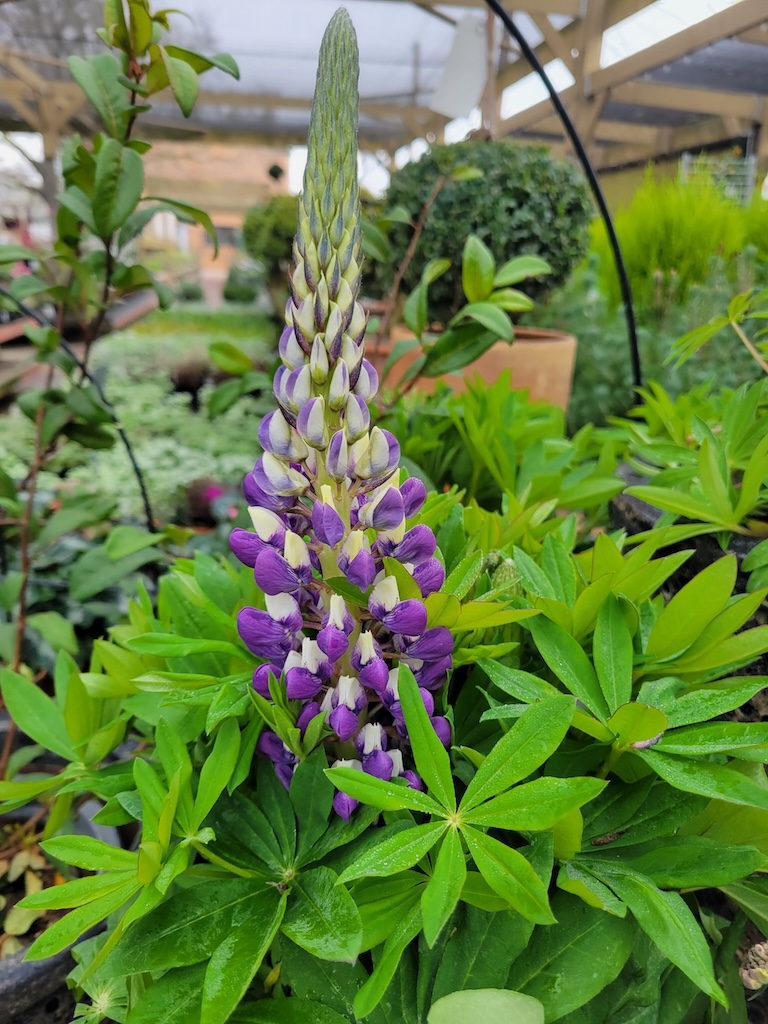 Resized_20260116_120026