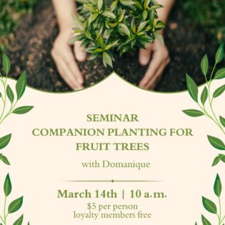 Companion Planting for Fruit Trees