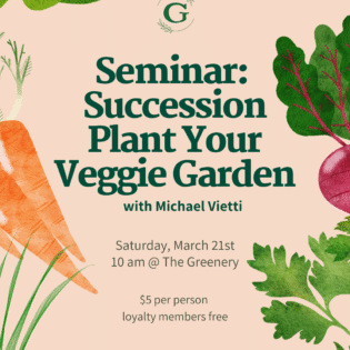 Succession Plant Your Veggie Garden