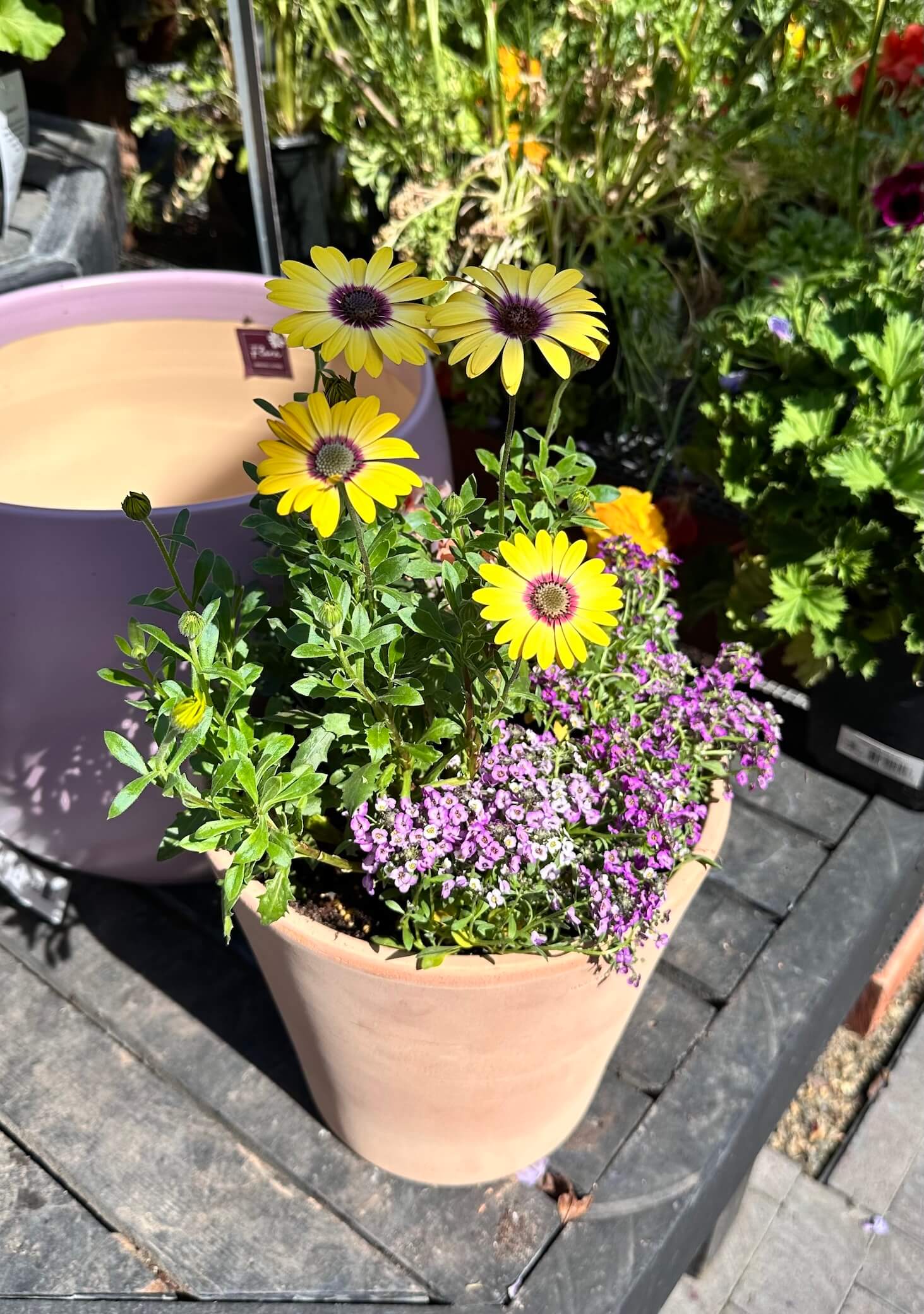 greenery_spring_pot_ups