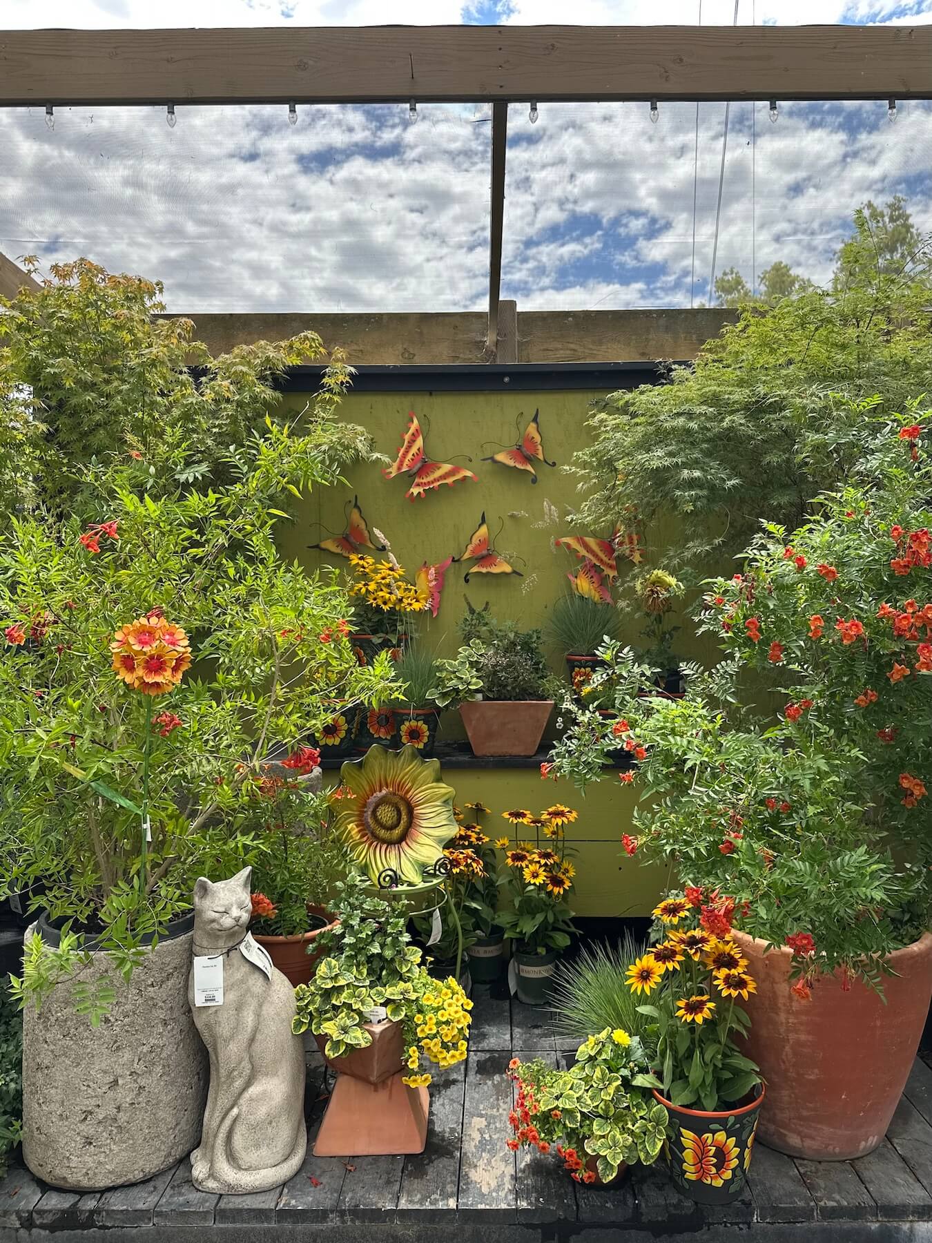 Summer Color