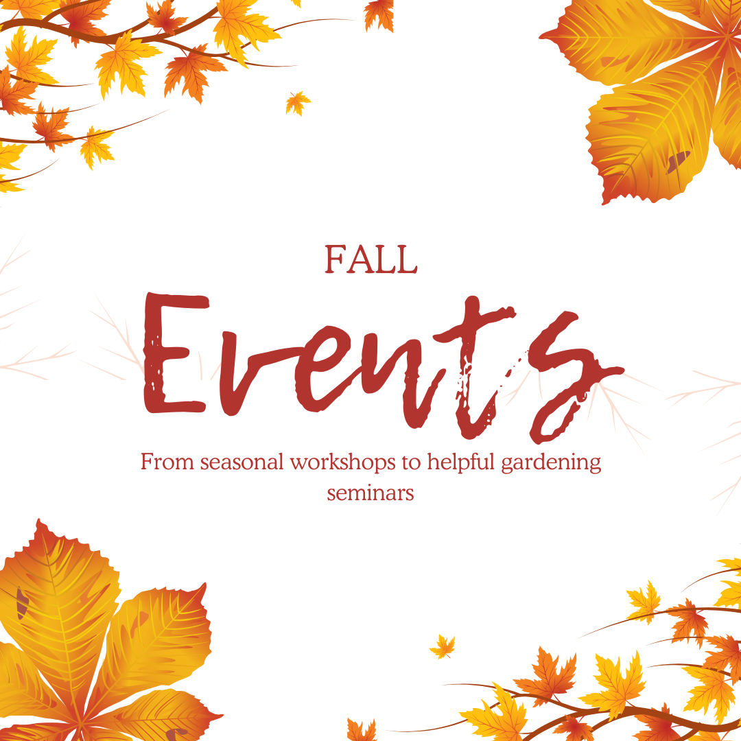 greenery_fall_events